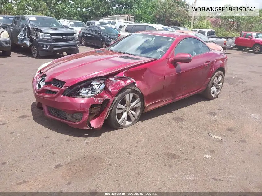 2009 Mercedes-Benz Slk 350 VIN: WDBWK58F19F190541 Lot: 42464400