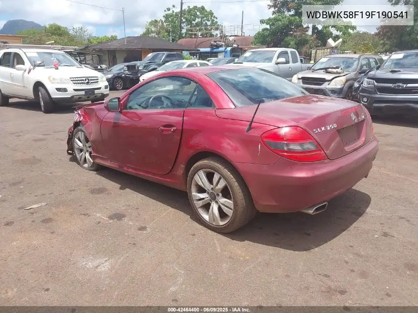 2009 Mercedes-Benz Slk 350 VIN: WDBWK58F19F190541 Lot: 42464400