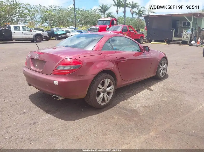 2009 Mercedes-Benz Slk 350 VIN: WDBWK58F19F190541 Lot: 42464400