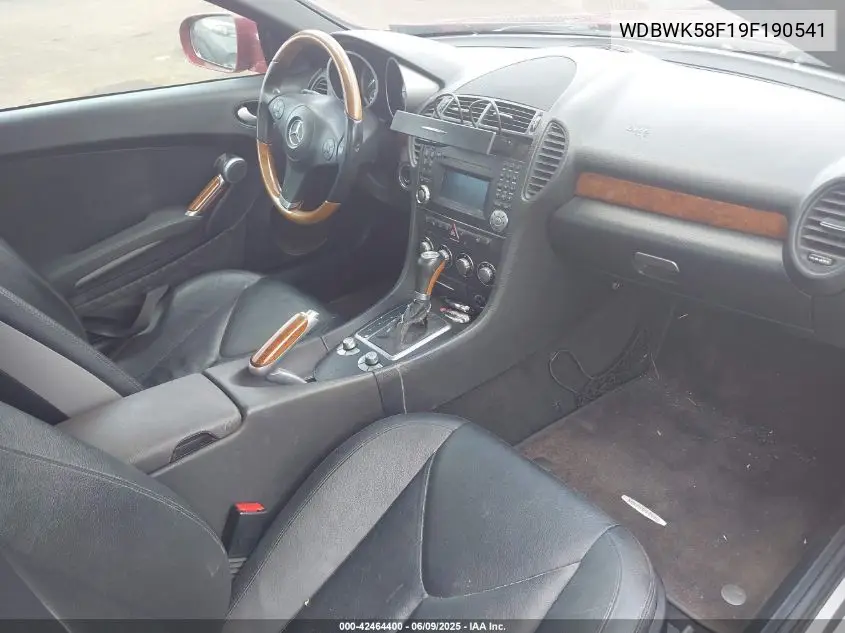 2009 Mercedes-Benz Slk 350 VIN: WDBWK58F19F190541 Lot: 42464400