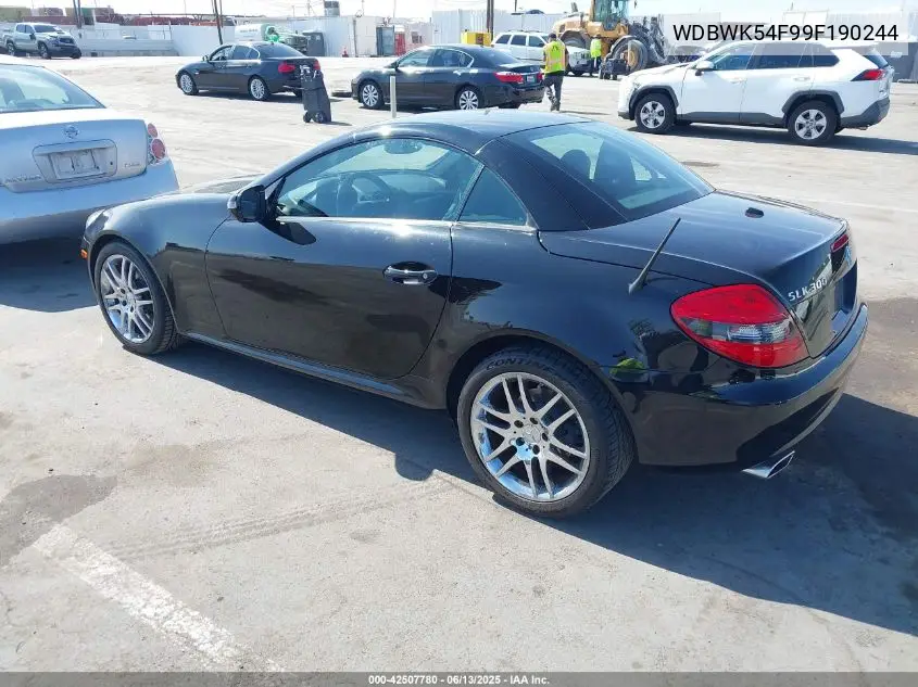 2009 Mercedes-Benz Slk 300 VIN: WDBWK54F99F190244 Lot: 42507780