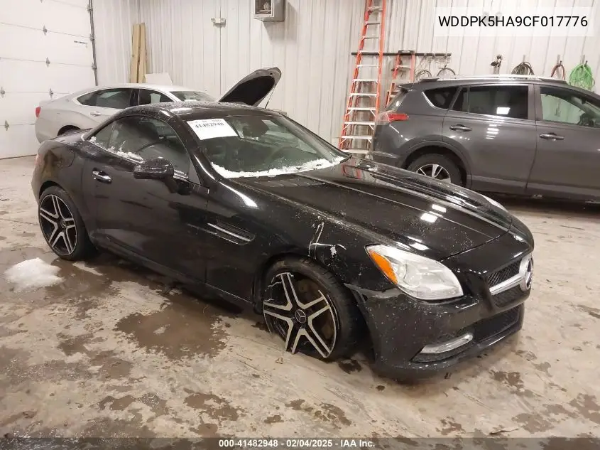 2012 Mercedes-Benz Slk 350 VIN: WDDPK5HA9CF017776 Lot: 41482948