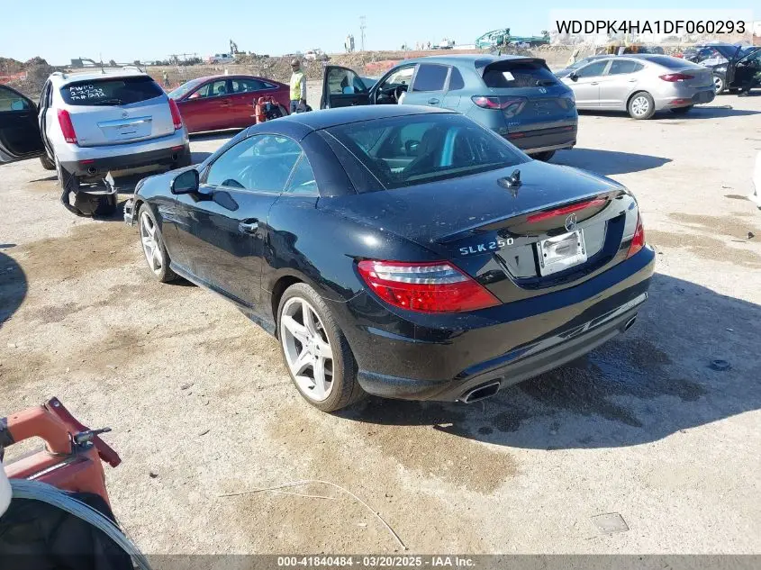 2013 Mercedes-Benz Slk 250 VIN: WDDPK4HA1DF060293 Lot: 41840484