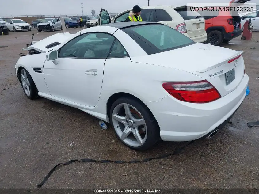 2016 Mercedes-Benz Slk 300 VIN: WDDPK3JA4GF123735 Lot: 41559315