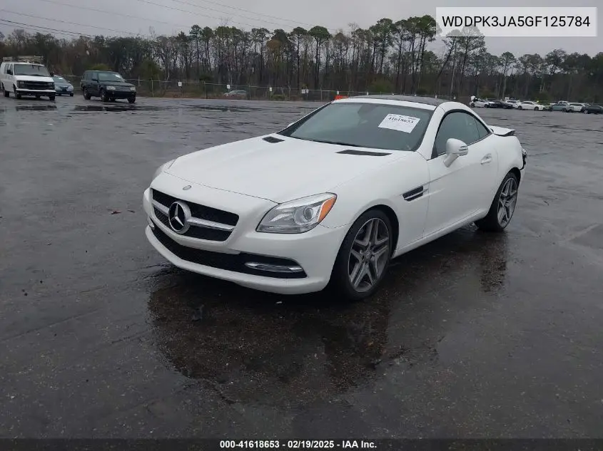 2016 Mercedes-Benz Slk 300 VIN: WDDPK3JA5GF125784 Lot: 41618653