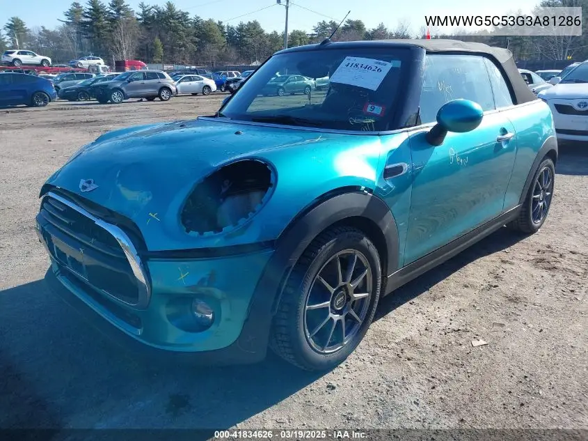 2016 Mini Convertible Cooper VIN: WMWWG5C53G3A81286 Lot: 41834626