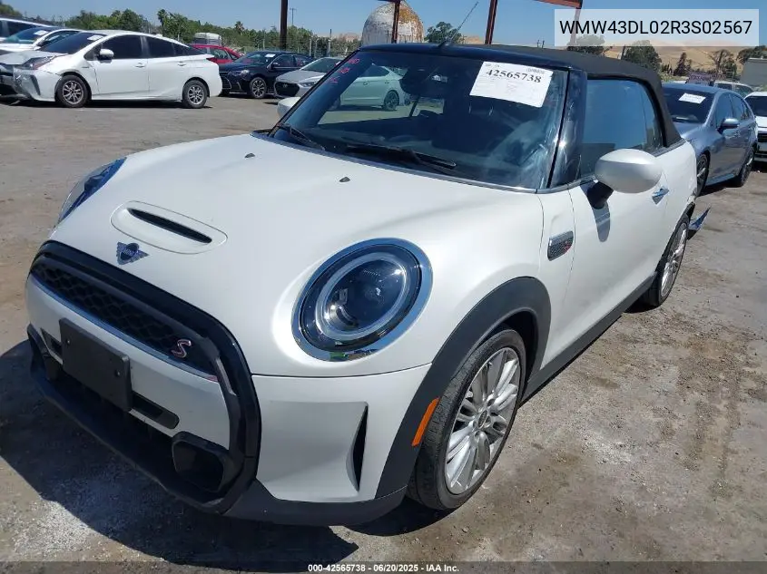 2024 Mini Convertible Cooper S VIN: WMW43DL02R3S02567 Lot: 42565738