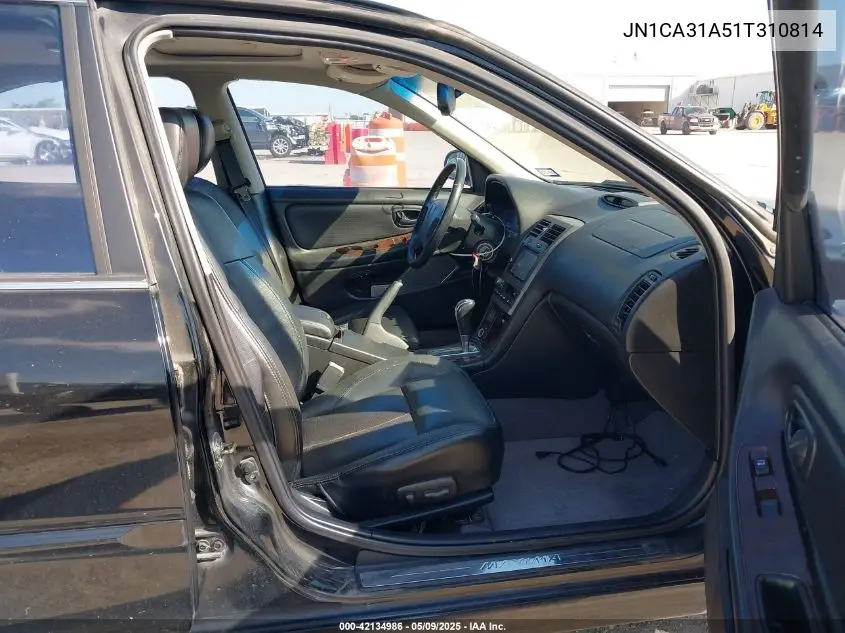 2001 Nissan Maxima Se VIN: JN1CA31A51T310814 Lot: 42134986