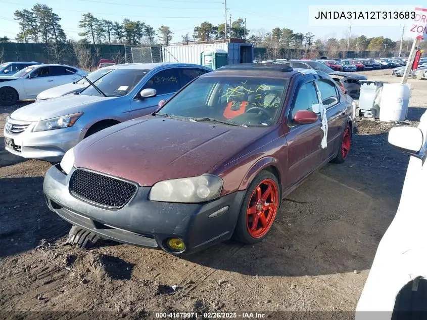 2002 Nissan Maxima Se VIN: JN1DA31A12T313683 Lot: 41679971