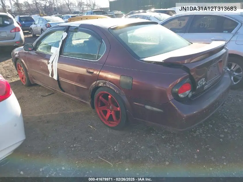 2002 Nissan Maxima Se VIN: JN1DA31A12T313683 Lot: 41679971