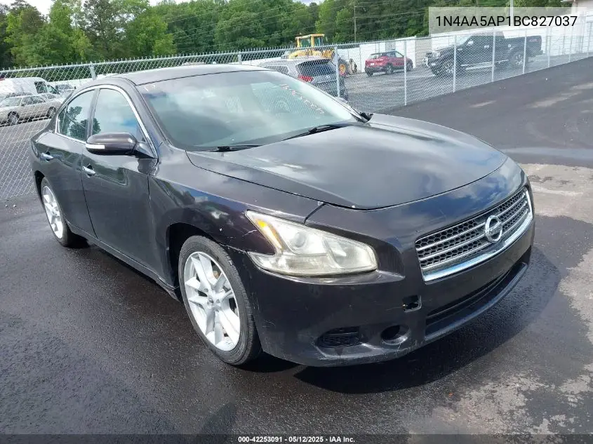 2011 Nissan Maxima 3.5 Sv VIN: 1N4AA5AP1BC827037 Lot: 42253091