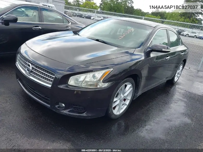 2011 Nissan Maxima 3.5 Sv VIN: 1N4AA5AP1BC827037 Lot: 42253091