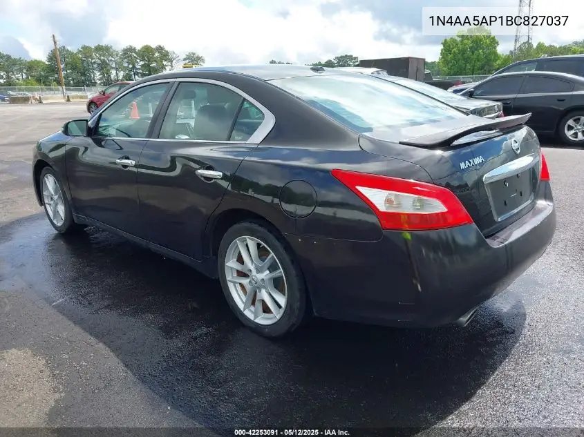 2011 Nissan Maxima 3.5 Sv VIN: 1N4AA5AP1BC827037 Lot: 42253091