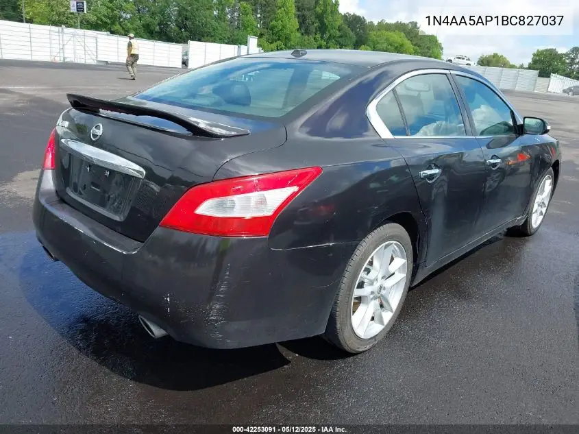 2011 Nissan Maxima 3.5 Sv VIN: 1N4AA5AP1BC827037 Lot: 42253091
