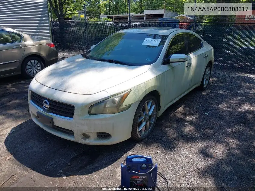 2011 Nissan Maxima 3.5 Sv VIN: 1N4AA5AP0BC808317 Lot: 42783165