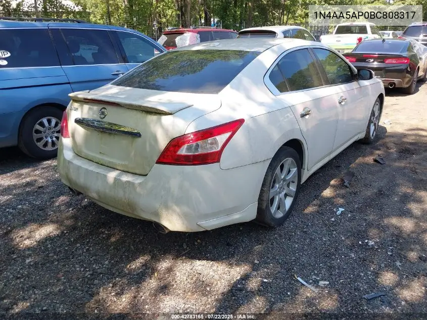 2011 Nissan Maxima 3.5 Sv VIN: 1N4AA5AP0BC808317 Lot: 42783165