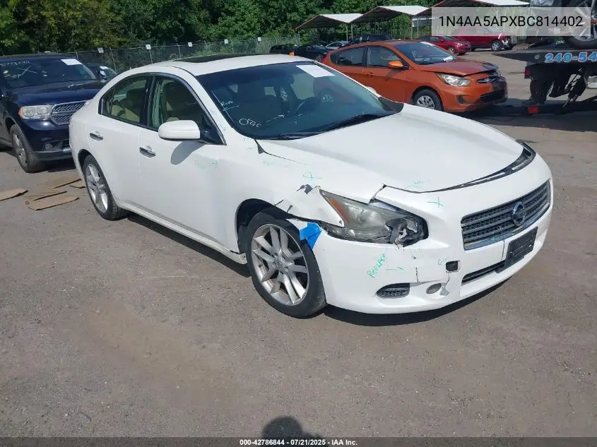 2011 Nissan Maxima 3.5 S VIN: 1N4AA5APXBC814402 Lot: 42786844