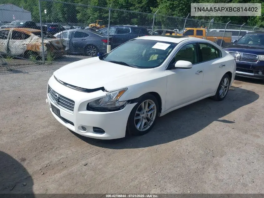 2011 Nissan Maxima 3.5 S VIN: 1N4AA5APXBC814402 Lot: 42786844