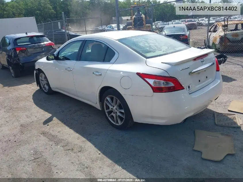 2011 Nissan Maxima 3.5 S VIN: 1N4AA5APXBC814402 Lot: 42786844
