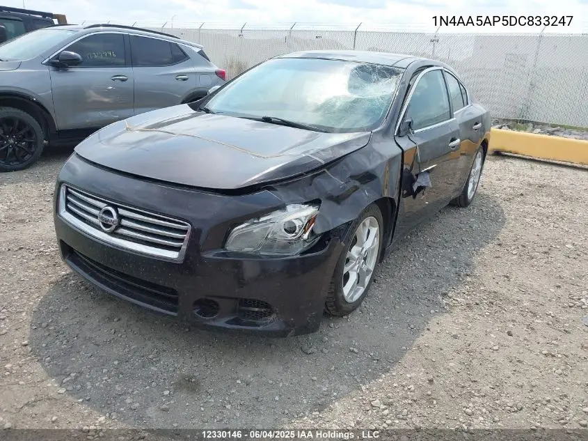 2013 Nissan Maxima S/Sv VIN: 1N4AA5AP5DC833247 Lot: 12330146