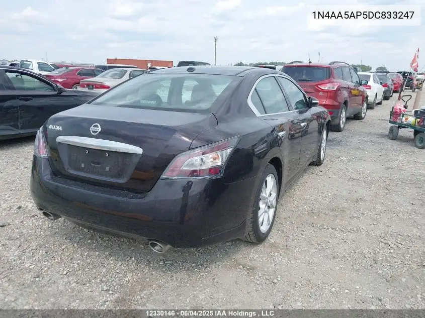 2013 Nissan Maxima S/Sv VIN: 1N4AA5AP5DC833247 Lot: 12330146