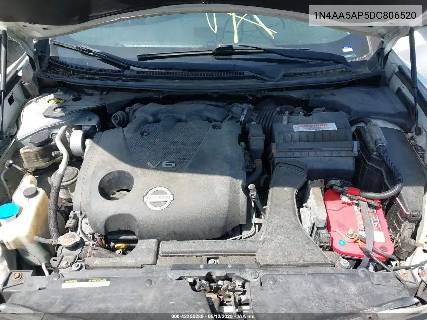 2013 Nissan Maxima 3.5 Sv VIN: 1N4AA5AP5DC806520 Lot: 42250289