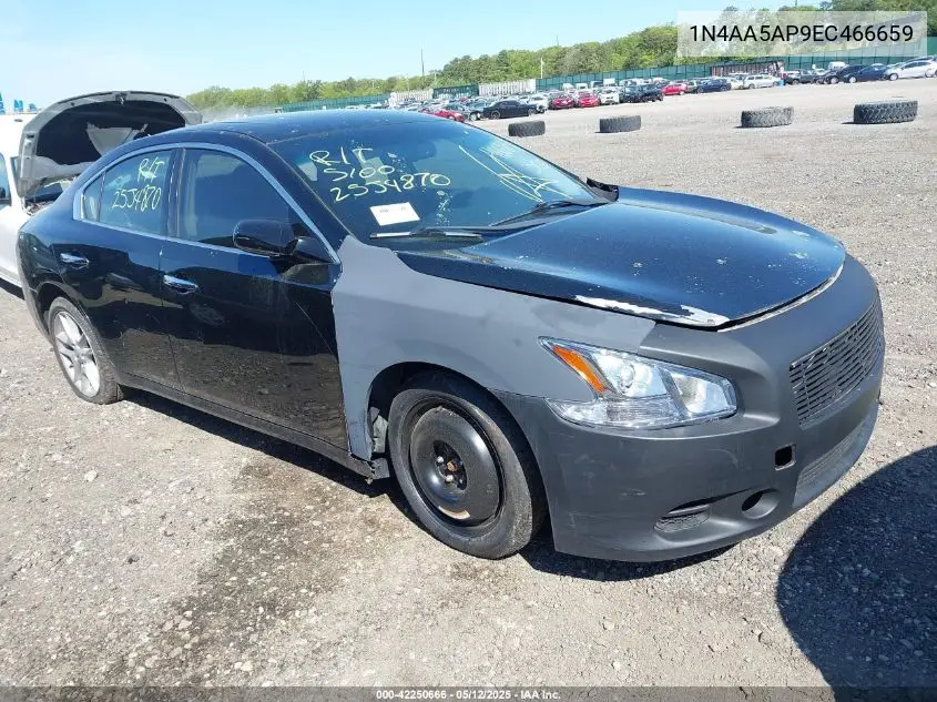 2014 Nissan Maxima 3.5 S/3.5 Sv VIN: 1N4AA5AP9EC466659 Lot: 42250666