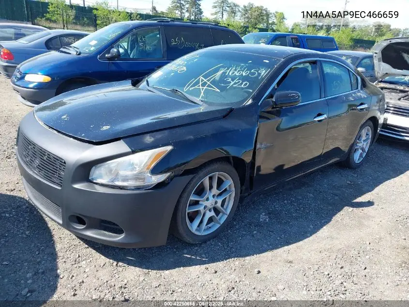 2014 Nissan Maxima 3.5 S/3.5 Sv VIN: 1N4AA5AP9EC466659 Lot: 42250666