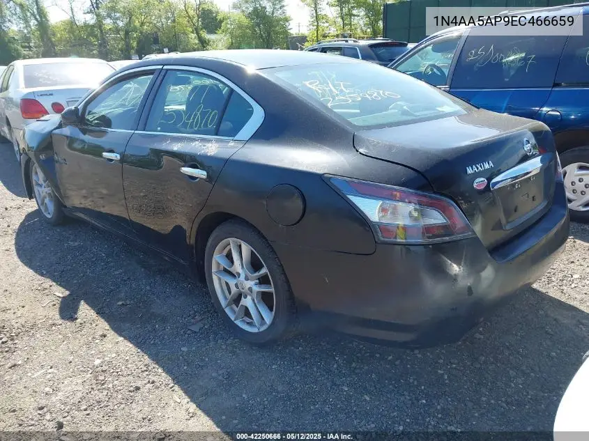 2014 Nissan Maxima 3.5 S/3.5 Sv VIN: 1N4AA5AP9EC466659 Lot: 42250666