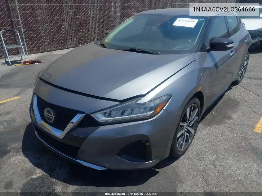 2020 Nissan Maxima Sv Xtronic Cvt VIN: 1N4AA6CV2LC364666 Lot: 42726298