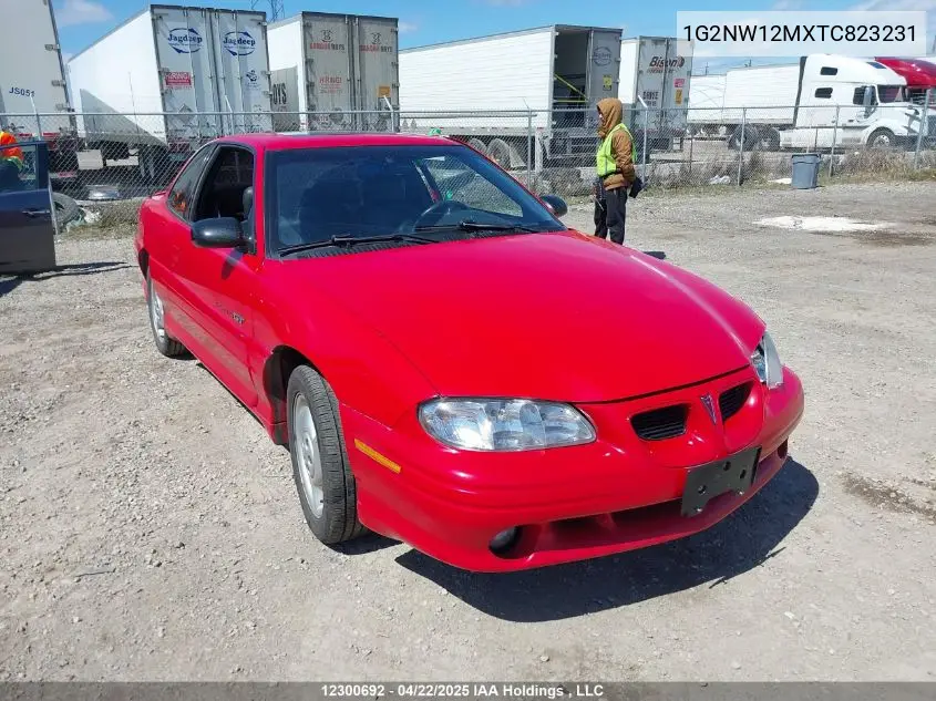 1996 Pontiac Grand Am Gt VIN: 1G2NW12MXTC823231 Lot: 12300692