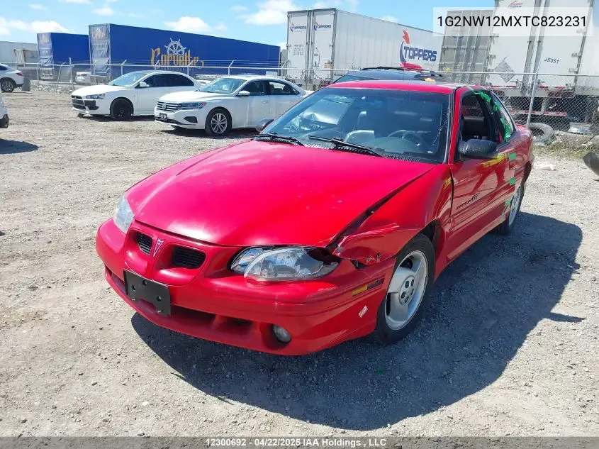 1996 Pontiac Grand Am Gt VIN: 1G2NW12MXTC823231 Lot: 12300692