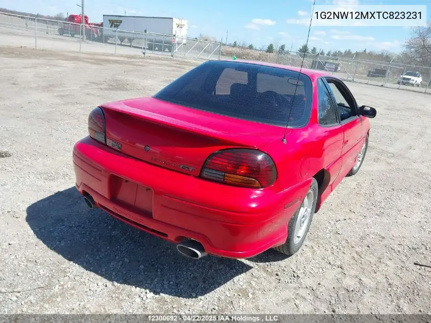 1996 Pontiac Grand Am Gt VIN: 1G2NW12MXTC823231 Lot: 12300692