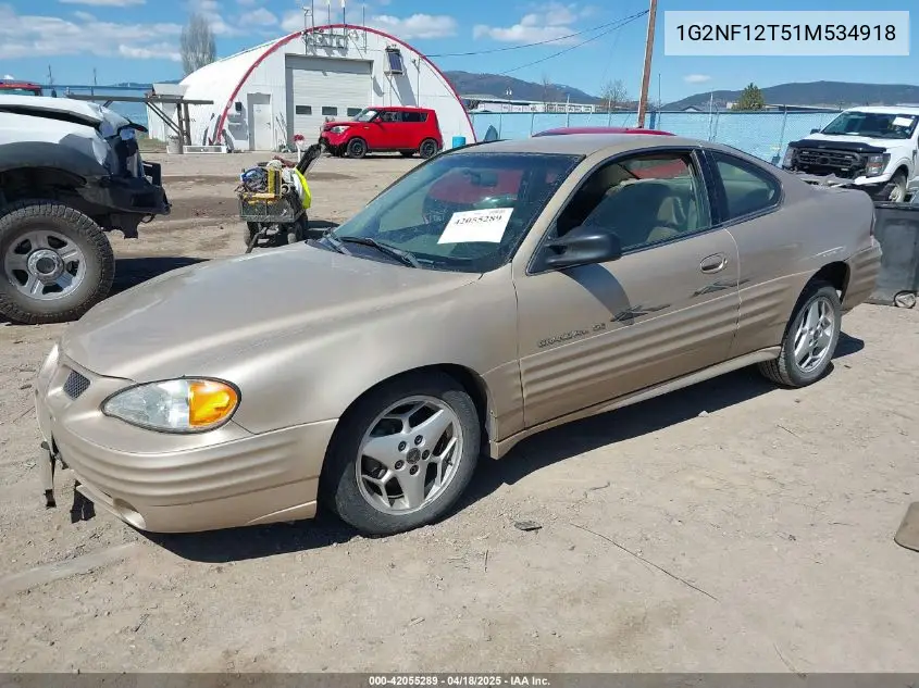 2001 Pontiac Grand Am Se1 VIN: 1G2NF12T51M534918 Lot: 42055289