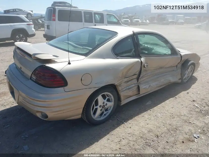 2001 Pontiac Grand Am Se1 VIN: 1G2NF12T51M534918 Lot: 42055289