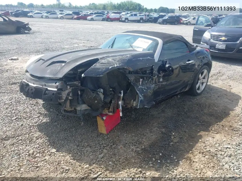 2006 Pontiac Solstice VIN: 1G2MB33B56Y111393 Lot: 42023601