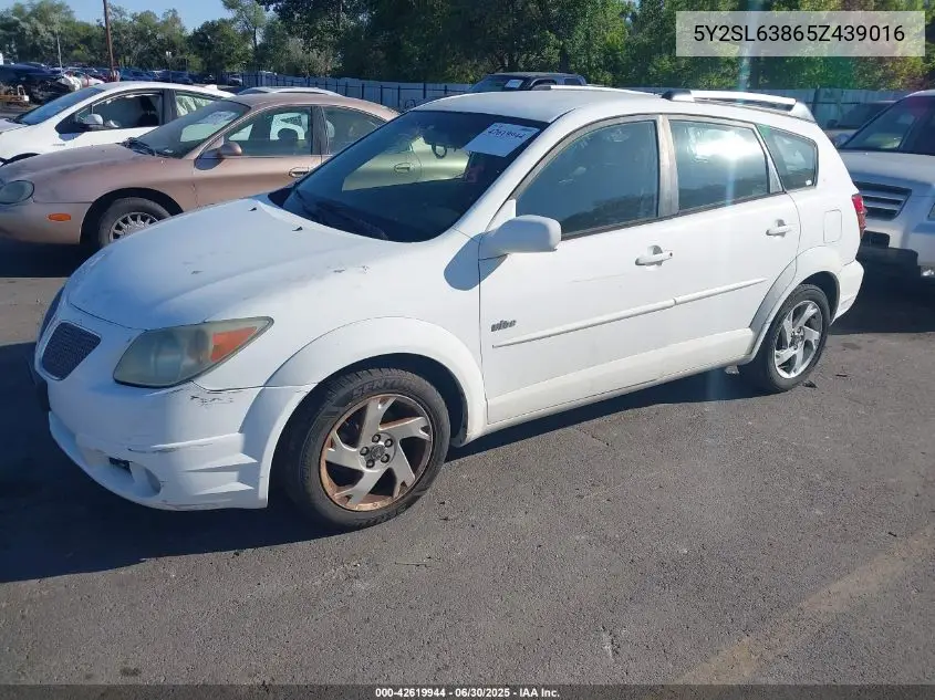 2005 Pontiac Vibe VIN: 5Y2SL63865Z439016 Lot: 42619944