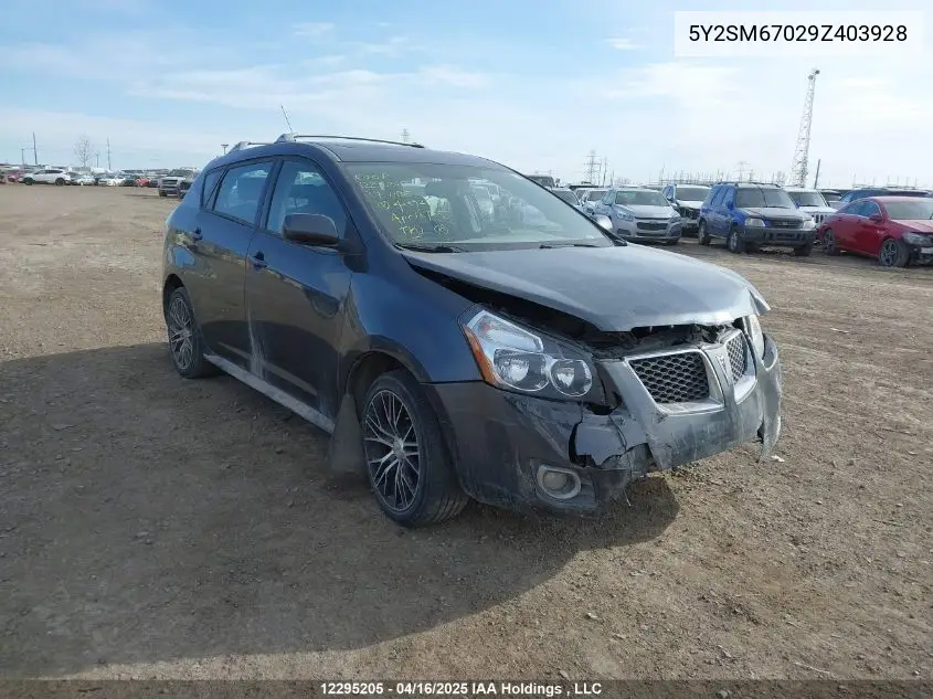 2009 Pontiac Vibe VIN: 5Y2SM67029Z403928 Lot: 12295205