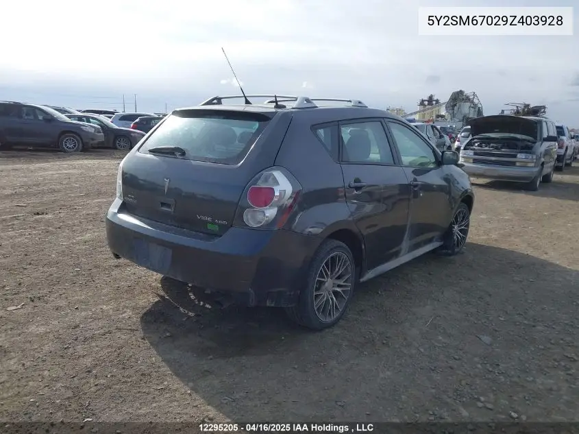 2009 Pontiac Vibe VIN: 5Y2SM67029Z403928 Lot: 12295205