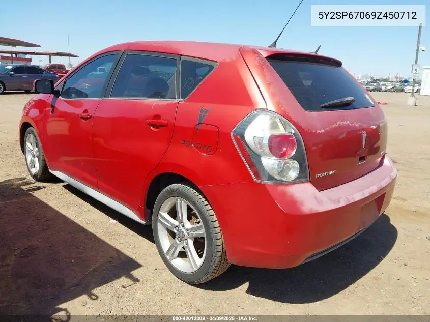 2009 Pontiac Vibe VIN: 5Y2SP67069Z450712 Lot: 42012309