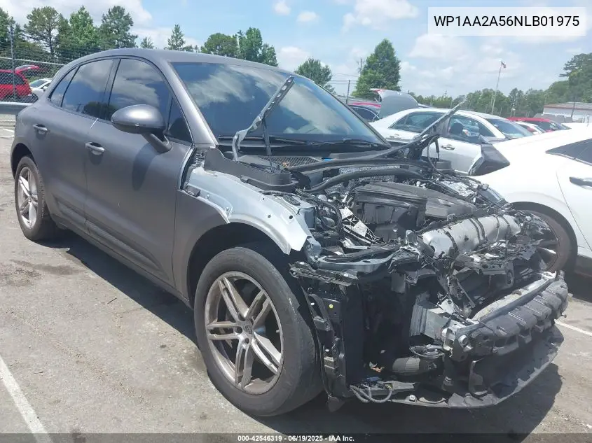 2022 Porsche Macan VIN: WP1AA2A56NLB01975 Lot: 42546319