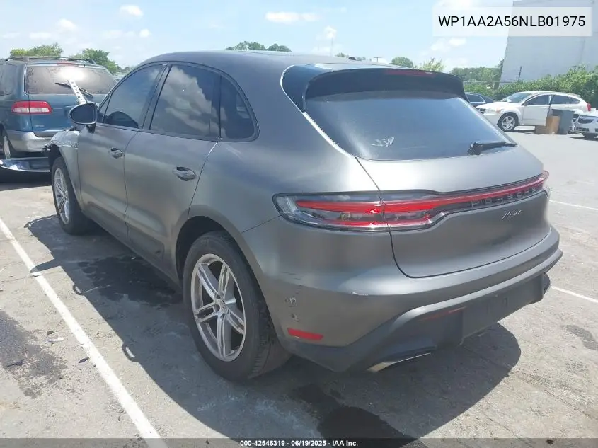2022 Porsche Macan VIN: WP1AA2A56NLB01975 Lot: 42546319