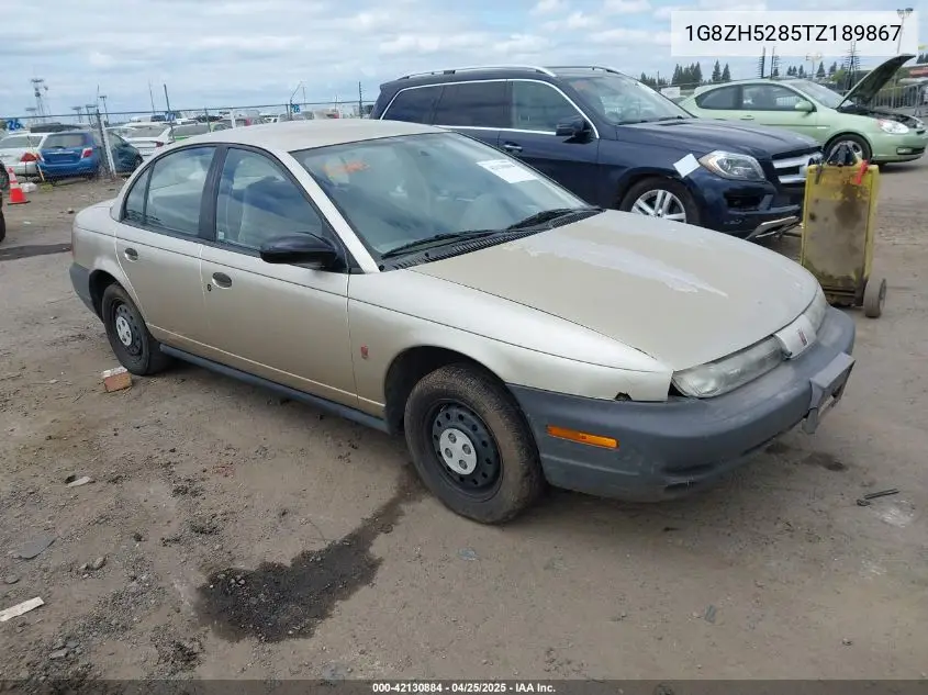 1996 Saturn Sl1 VIN: 1G8ZH5285TZ189867 Lot: 42130884