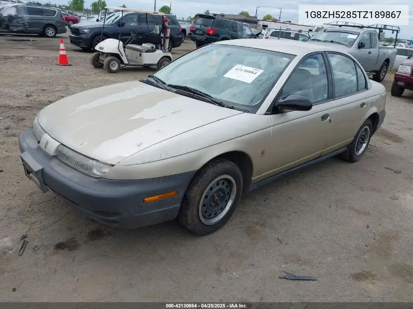 1996 Saturn Sl1 VIN: 1G8ZH5285TZ189867 Lot: 42130884