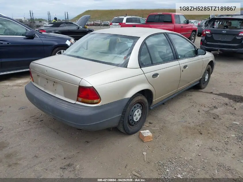 1996 Saturn Sl1 VIN: 1G8ZH5285TZ189867 Lot: 42130884
