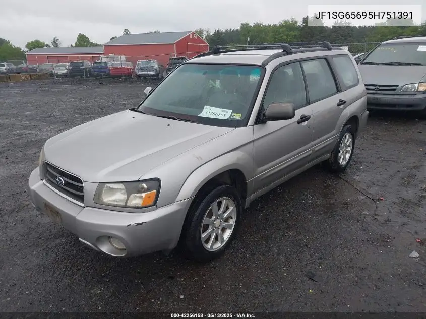 2005 Subaru Forester 2.5Xs VIN: JF1SG65695H751391 Lot: 42256158
