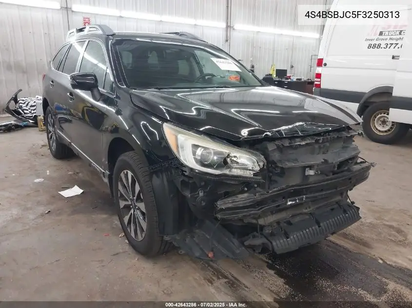 2015 Subaru Outback 2.5I Limited VIN: 4S4BSBJC5F3250313 Lot: 42643286