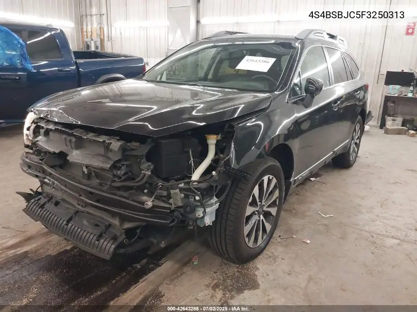 2015 Subaru Outback 2.5I Limited VIN: 4S4BSBJC5F3250313 Lot: 42643286