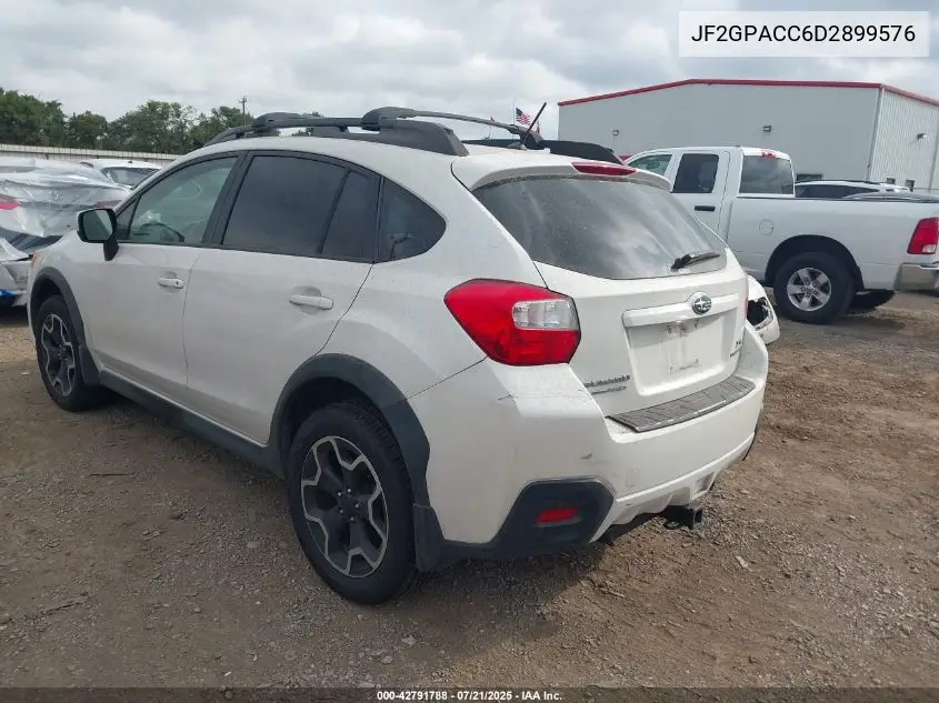 2013 Subaru Xv Crosstrek 2.0I Premium VIN: JF2GPACC6D2899576 Lot: 42791788