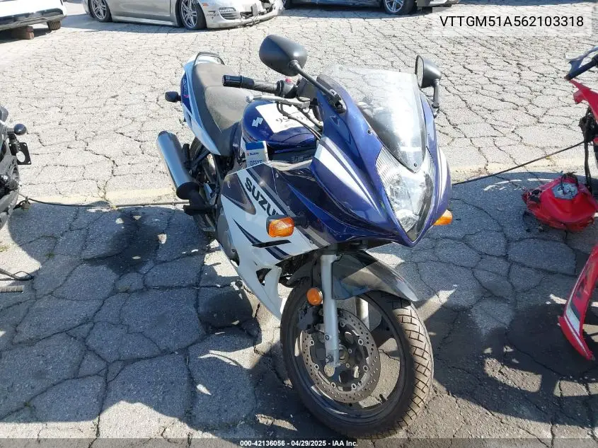 2006 Suzuki Gs500 Fk VIN: VTTGM51A562103318 Lot: 42136056